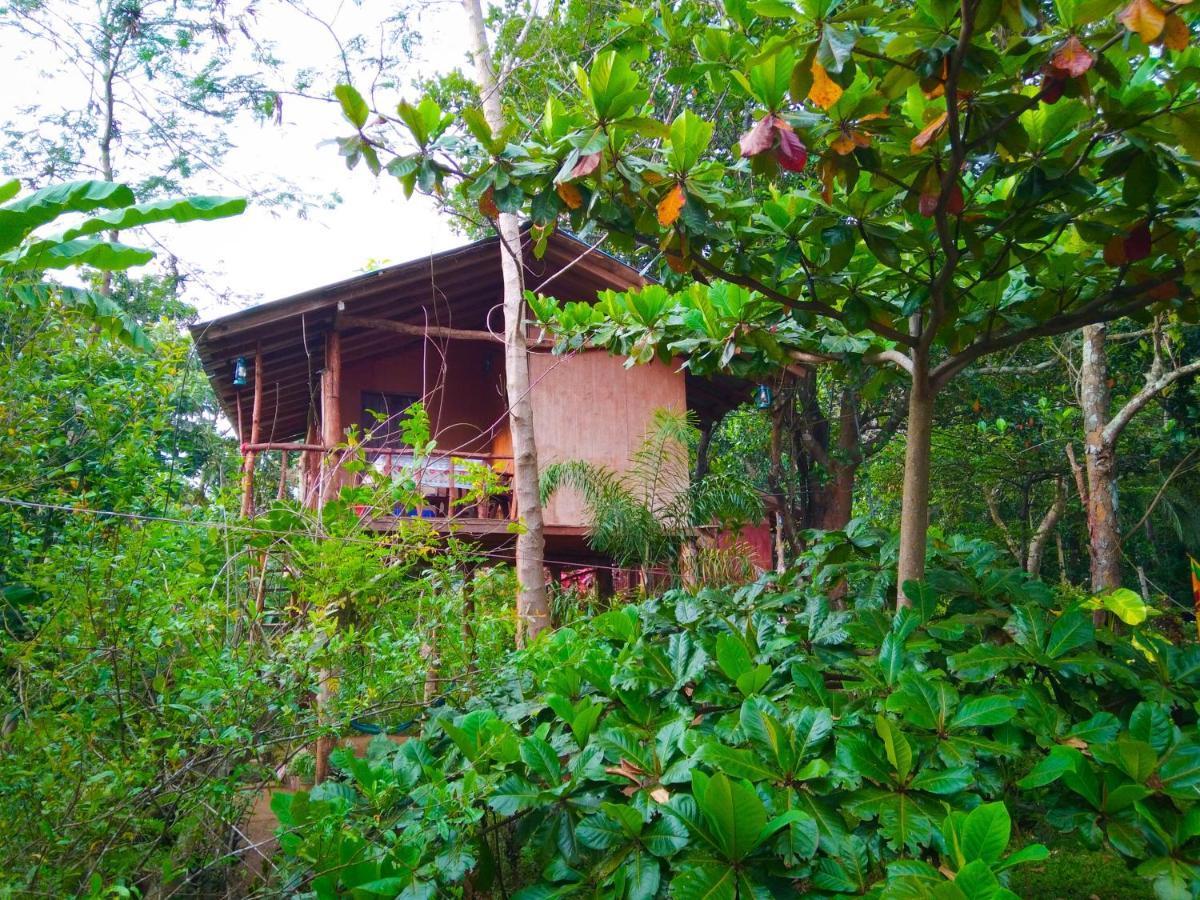 Akash Treehouse Daire Sigiriya Dış mekan fotoğraf