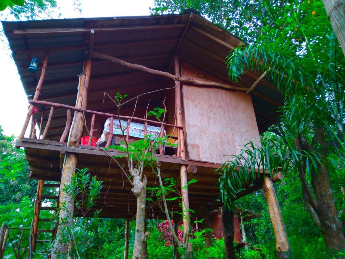 Akash Treehouse Daire Sigiriya Dış mekan fotoğraf