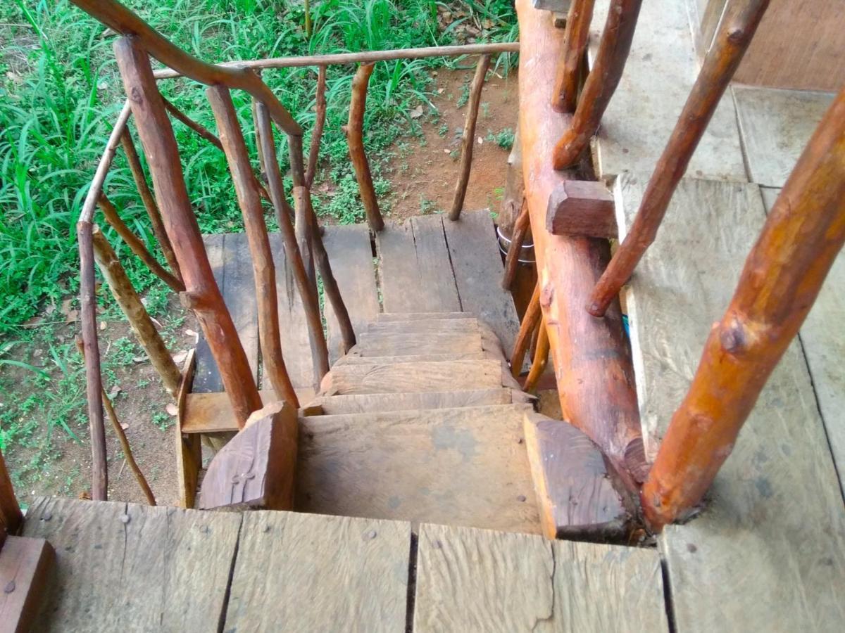 Akash Treehouse Daire Sigiriya Dış mekan fotoğraf