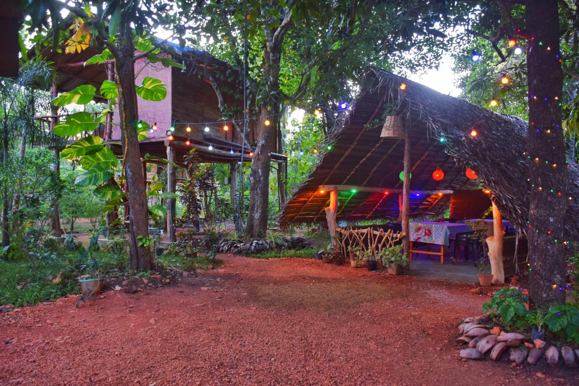 Akash Treehouse Daire Sigiriya Dış mekan fotoğraf