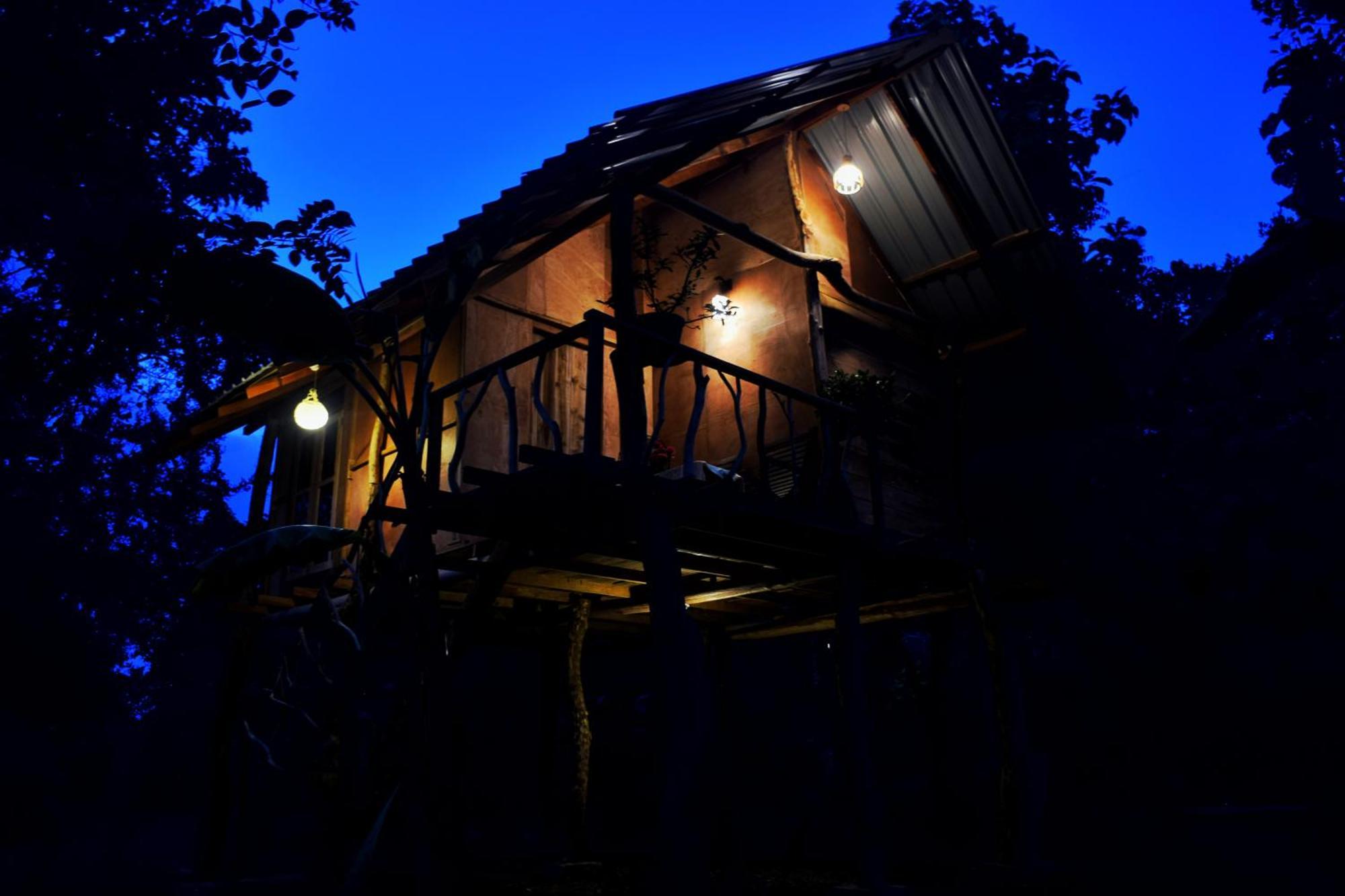 Akash Treehouse Daire Sigiriya Dış mekan fotoğraf