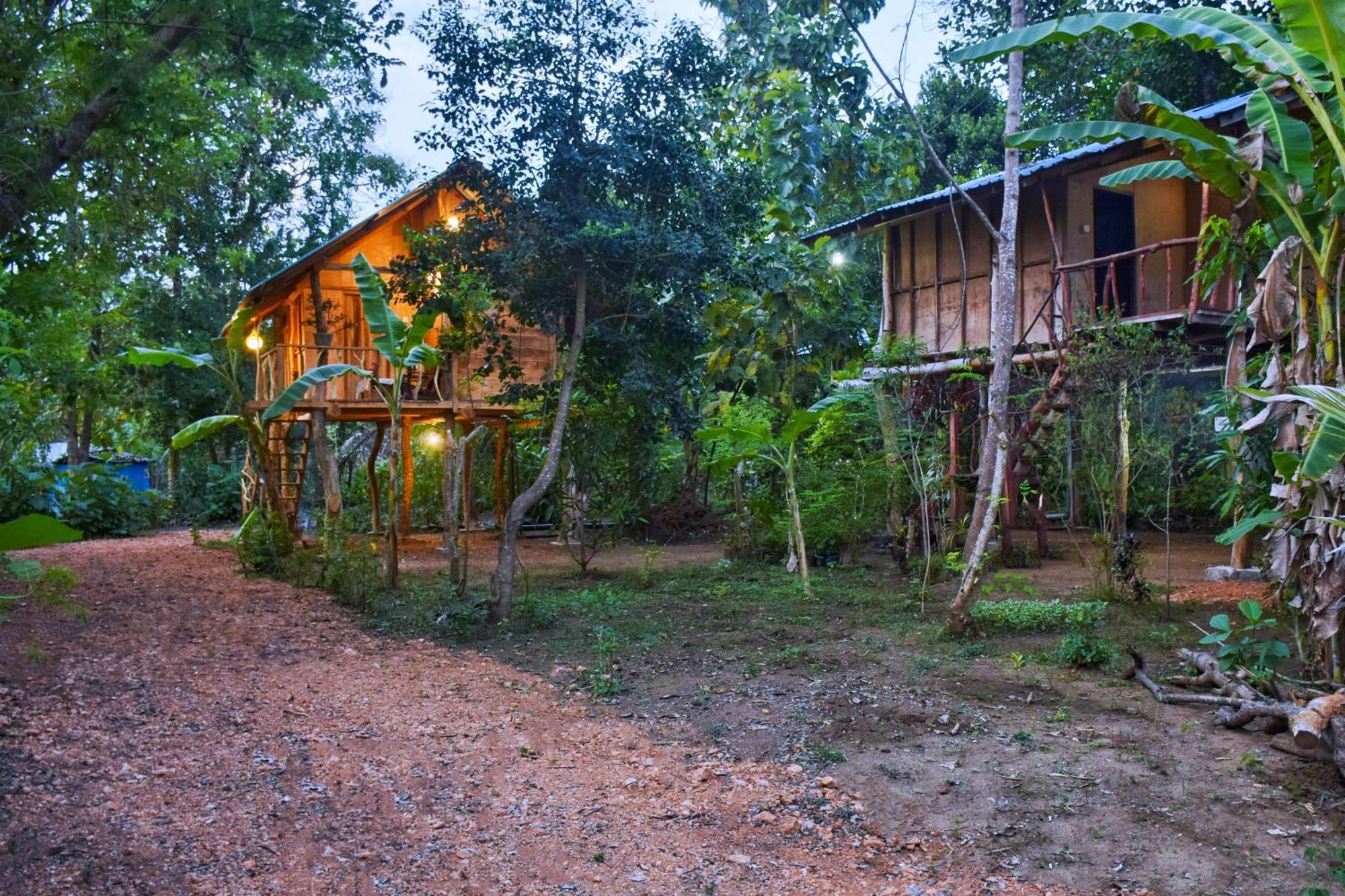 Akash Treehouse Daire Sigiriya Dış mekan fotoğraf