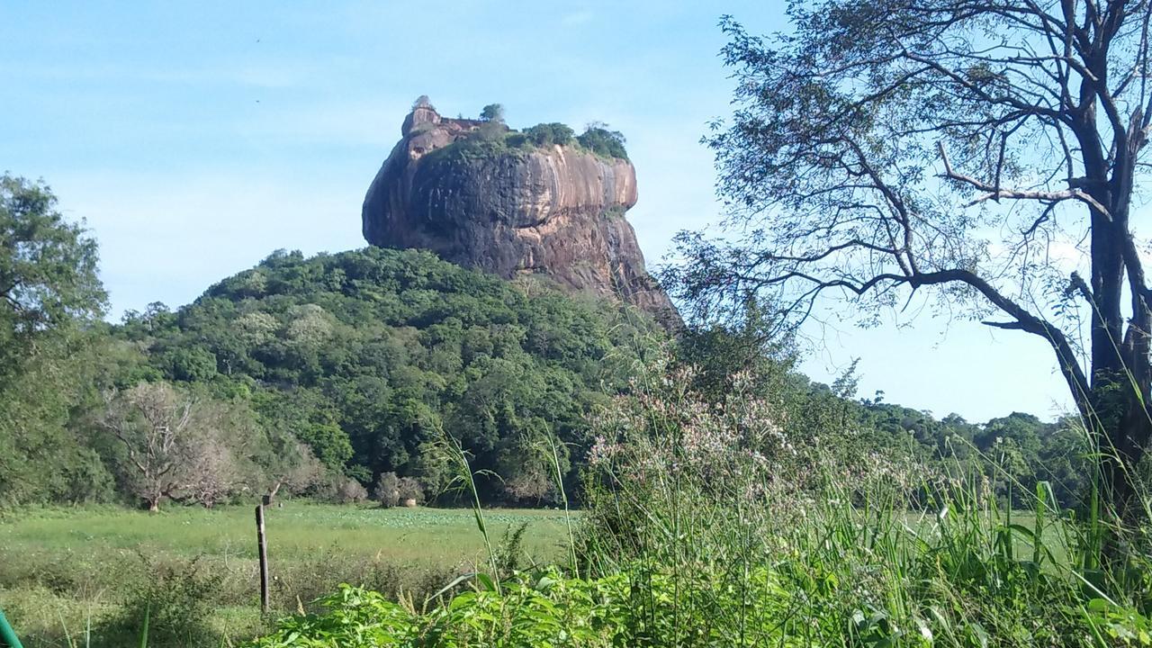 Akash Treehouse Daire Sigiriya Dış mekan fotoğraf